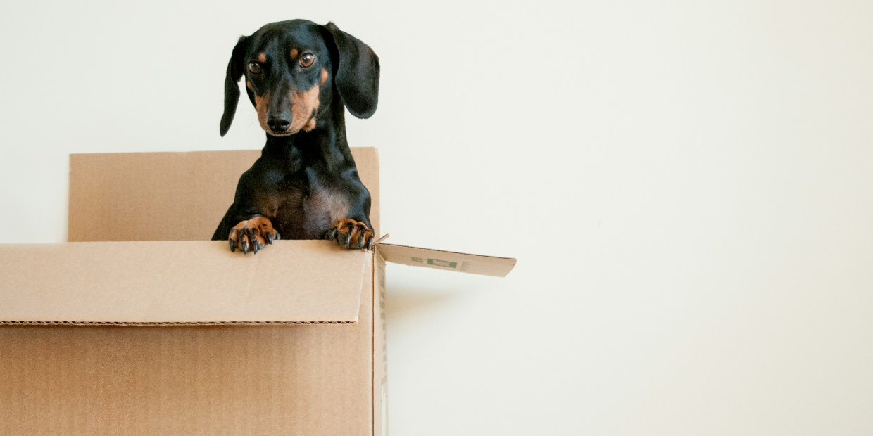 The Assist First Aid Training Centre is Moving